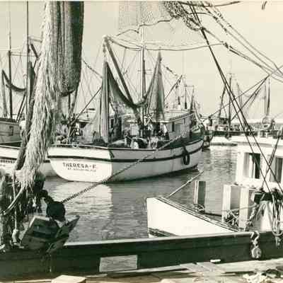 Shrimp Boats in Key West