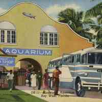 Municipal Aquarium, Key West, Florida