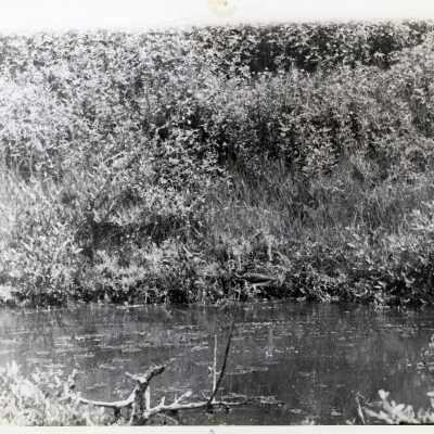 Blue Heron on Lower Matecumbe Key