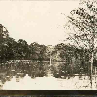 The Rising Water Levels of Gatun Lake