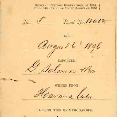 Customs Import Receipts