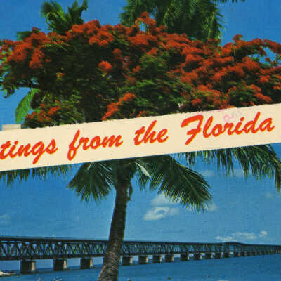 Greetings from the Florida Keys