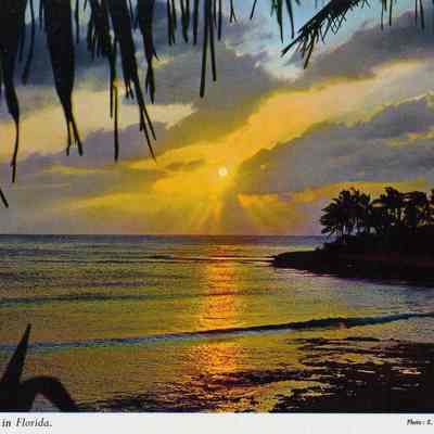 Tropical Sunset in Florida
