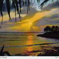 Tropical Sunset in Florida