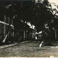 Cristobal Housing and Palms