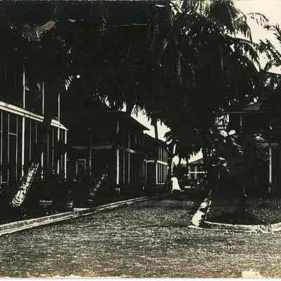 Cristobal Housing and Palms