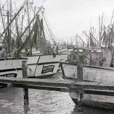 Shrimp Boats at Key West Bight