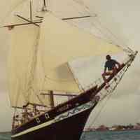 Schooner WOLF