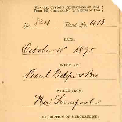 Customs Import Receipt