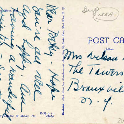 Turtle Crawls, Key West, Fla.