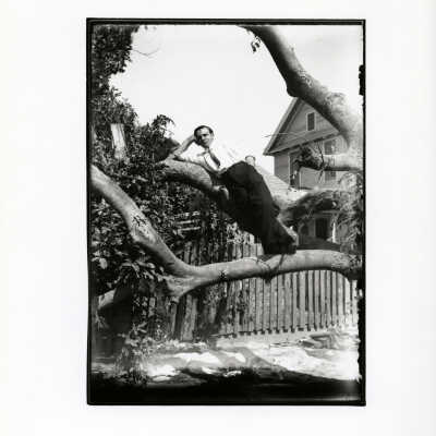 Man in Key West Tree