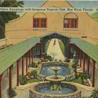 Open Aquarium, Key West, Florida