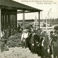 Selling at the Sponge Exchange, Tarpon Springs, Fla.