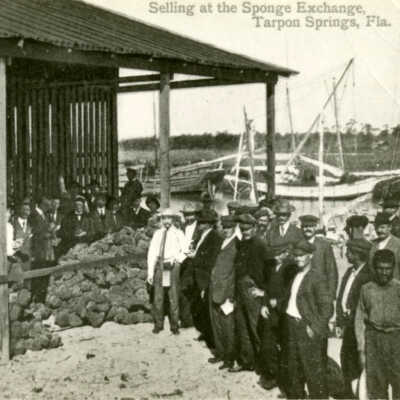 Selling at the Sponge Exchange, Tarpon Springs, Fla.