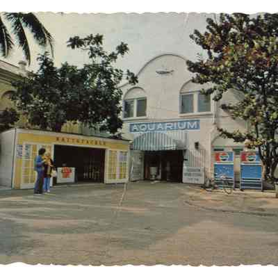 Key West Aquarium