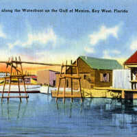 Peaceful Spot Along the Waterfront on the Gulf of Mexico, Key West, Florida