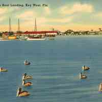 View from the Boat Landing, Key West, Florida