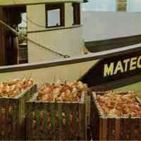 Florida Lobsters in Key West, Florida