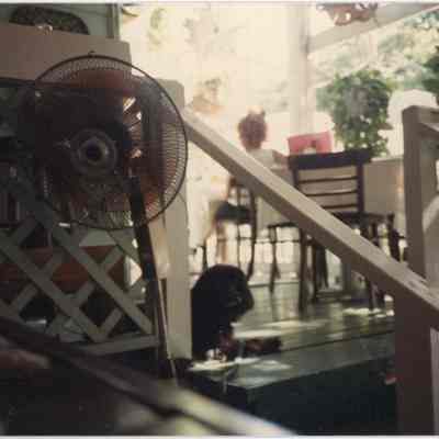 Dog at Pigeon House Patio Restaurant and Bar