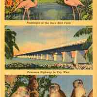 Interesting Places on Way to Key West