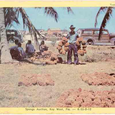 Sponge Auction, Key West, Fla.