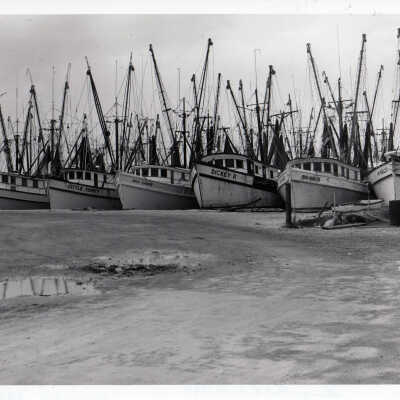 Shrimp Boats in Key West Bight