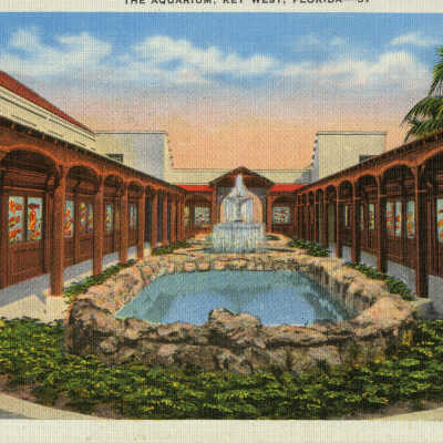 The Aquarium, Key West, Florida