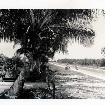 Bicycle Riding on Key West Street