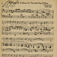 There Must Be A Heaven For That Little Dog of Mine