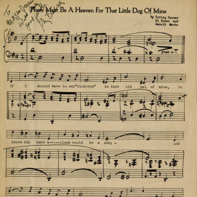 There Must Be A Heaven For That Little Dog of Mine