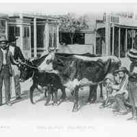 Dairy on Foot, Key West, Fla.