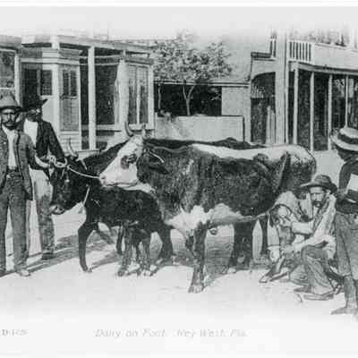 Dairy on Foot, Key West, Fla.