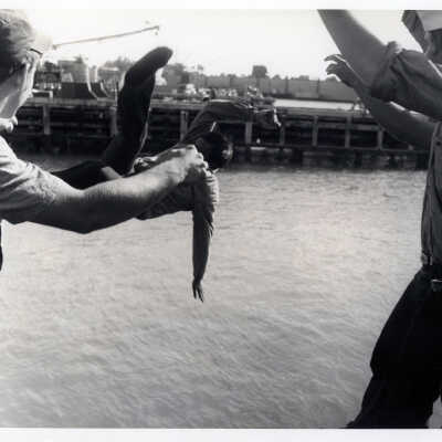 U.S. Navy Sailors at Naval Station Key West