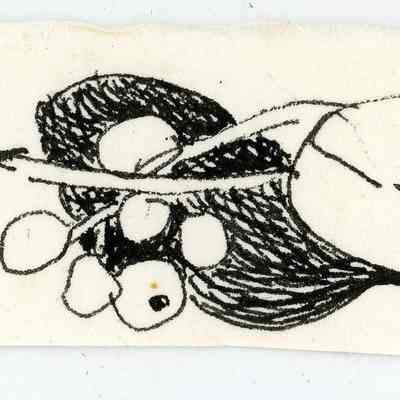 Untitled: © Key West Art & Historical Society