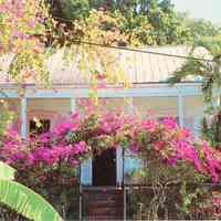          A Splash of Bougainvillea; © Key West Art & Historical Society
   