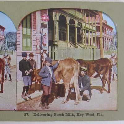 Delivering Fresh Milk, Key West, Fla.