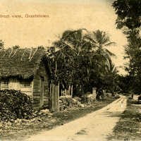 Street View, Grantstown