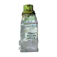 Mario Sanchez Paint Tube