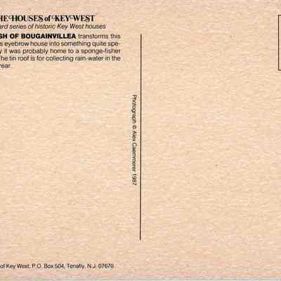 A Splash of Bougainvillea: © Key West Art & Historical Society