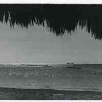 Higgs Beach