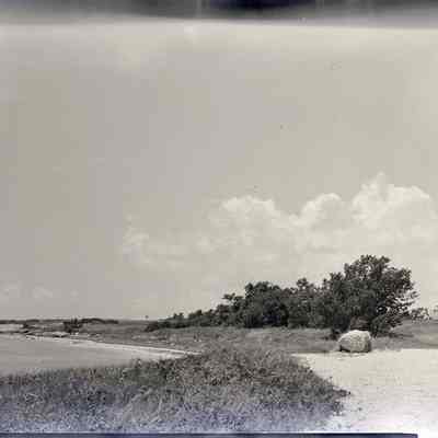 Florida Keys Shoreline