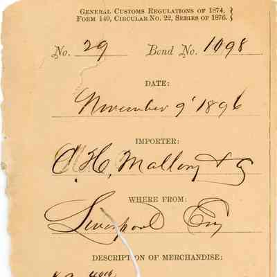 Customs Import Receipt