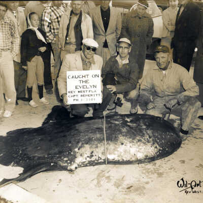 Ocean Sunfish Caught on Charter Boat Evelyn
