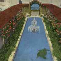 Open Aquarium, Key Westt, Florida