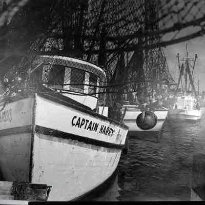 CAPTAIN HARRY Shrimp Boat