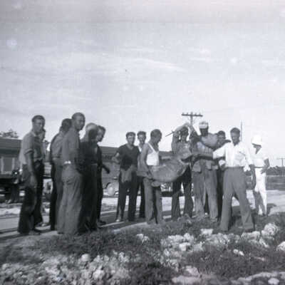 Seven Mile Bridge Construction Workers with Goliath Grouper