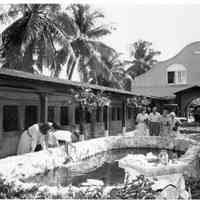 Key West Aquarium