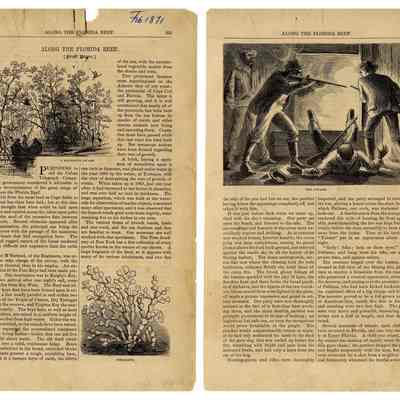 Along the Florida Reef