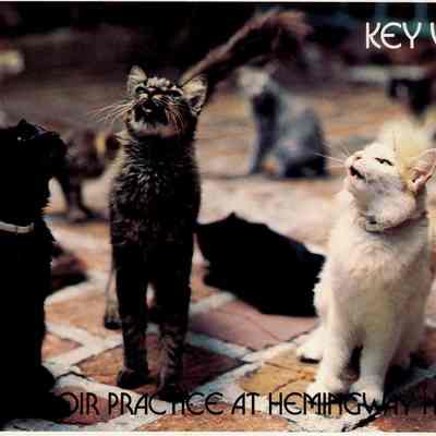 Choir Practice at Hemingway Home