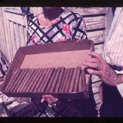 Hand Rolled Cigars